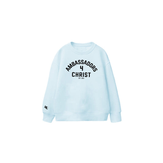 Ambassadors 4 Christ - Sweater